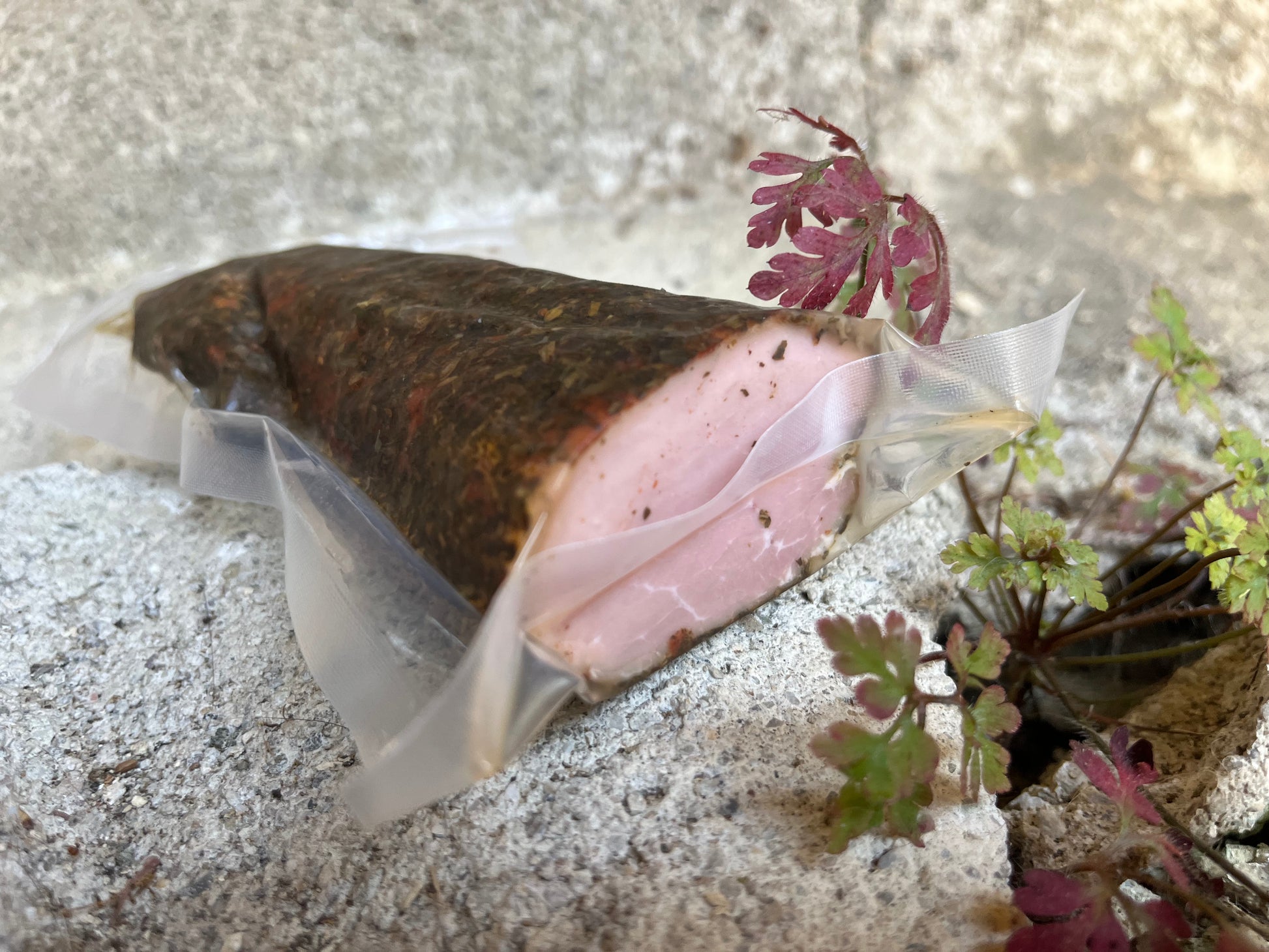 Schweinefilet im Alpenkräutermantel 200g