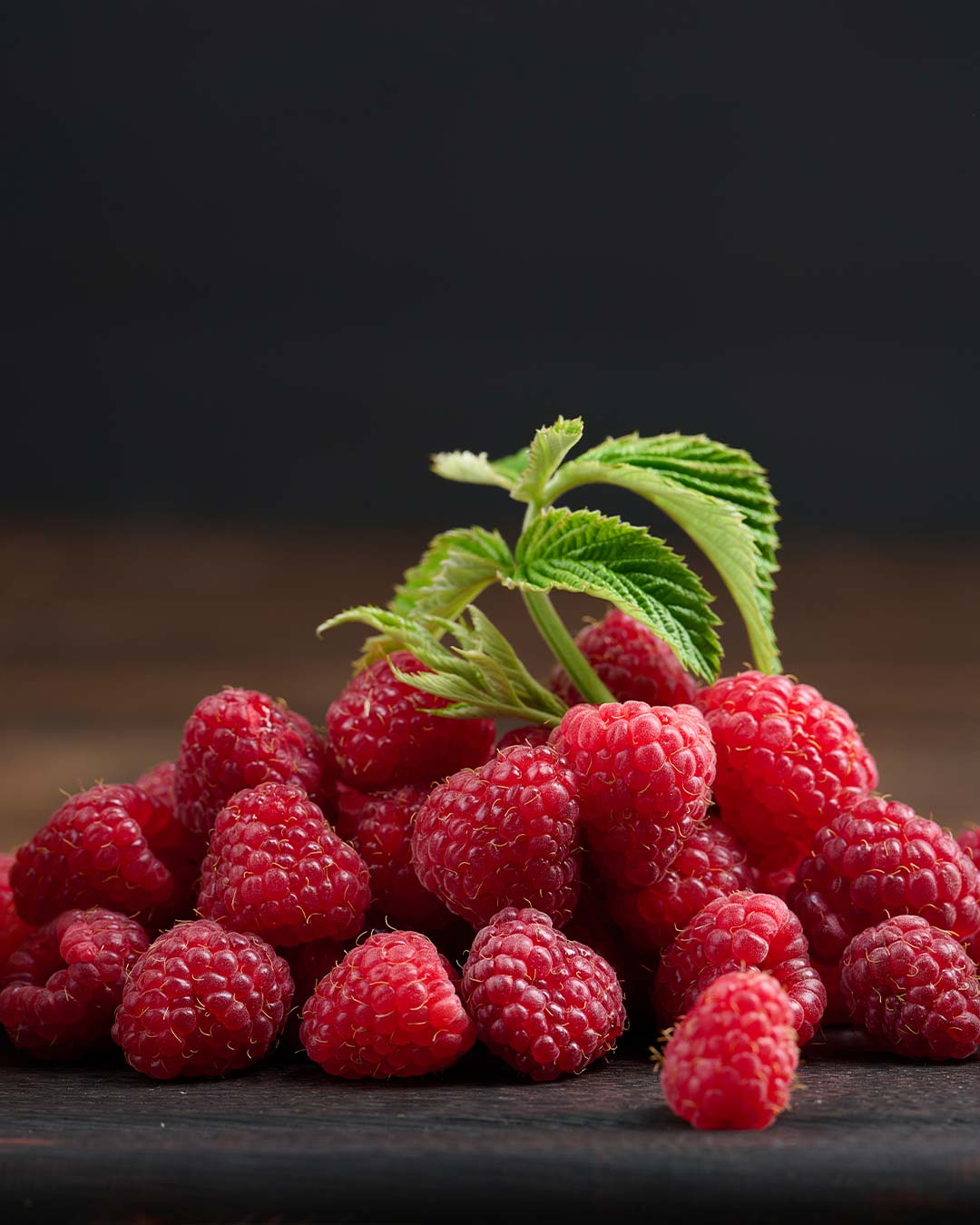 Darbo Himbeer passiert 450g